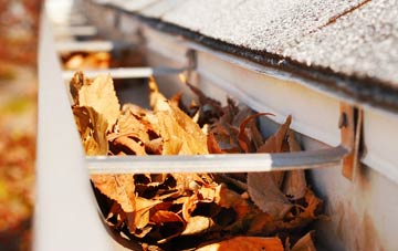 Elsted gutter cleaning companies