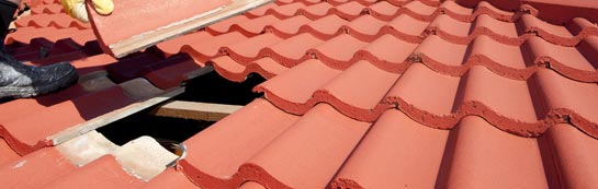 compare Elsted roof repair quotes