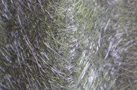 Elsted fibreglass roof work